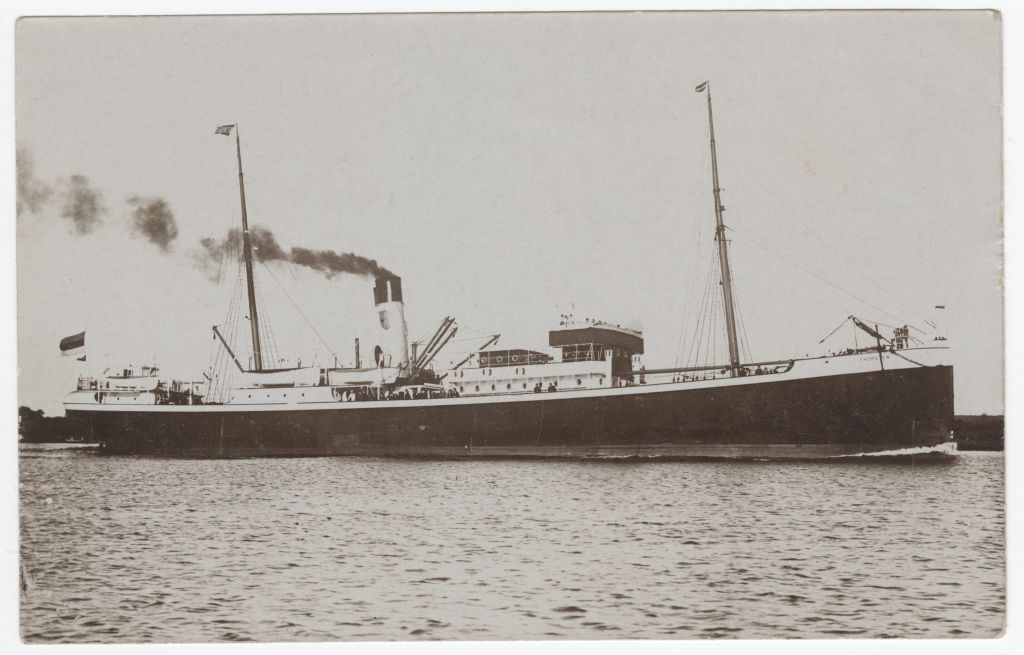 Reisiaurik "Thorsten"