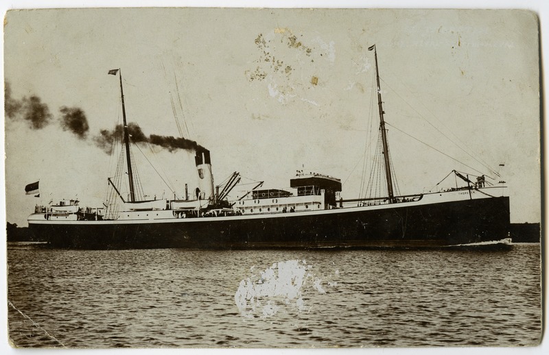 Reisiaurik "Thorsten"