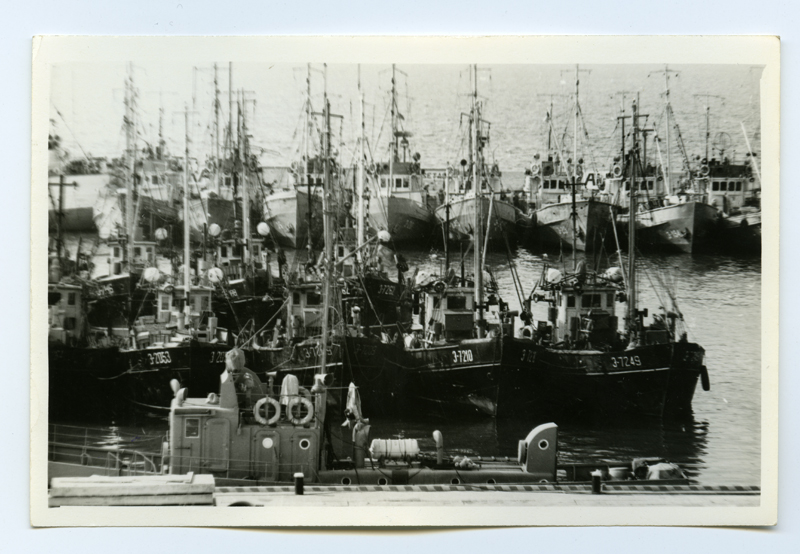 "Hiiu Kaluri" kalalaevad Suursadamas