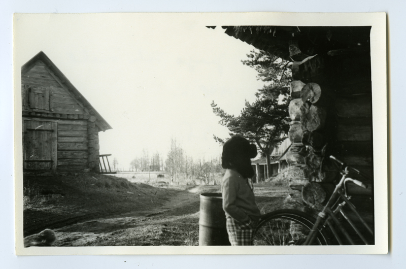 Vaade Jaago talu õuelt