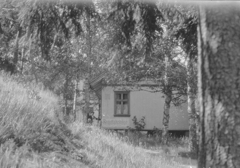 Majake puudesalus (Regattakontor)