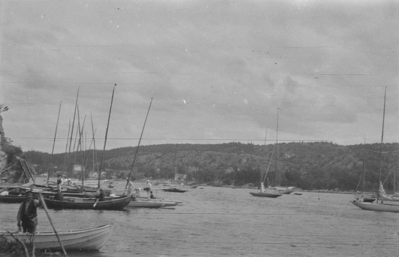 Fjordi suudmes seisvad jahid