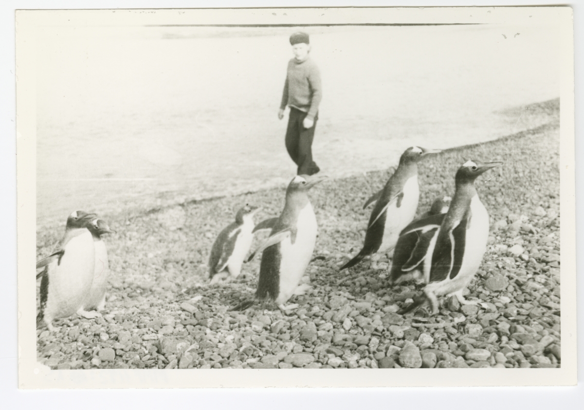 Külmutustraaleri "Evald Tammlaan" meeskonnaliige Lõuna-Georgias pingviine vaatamas