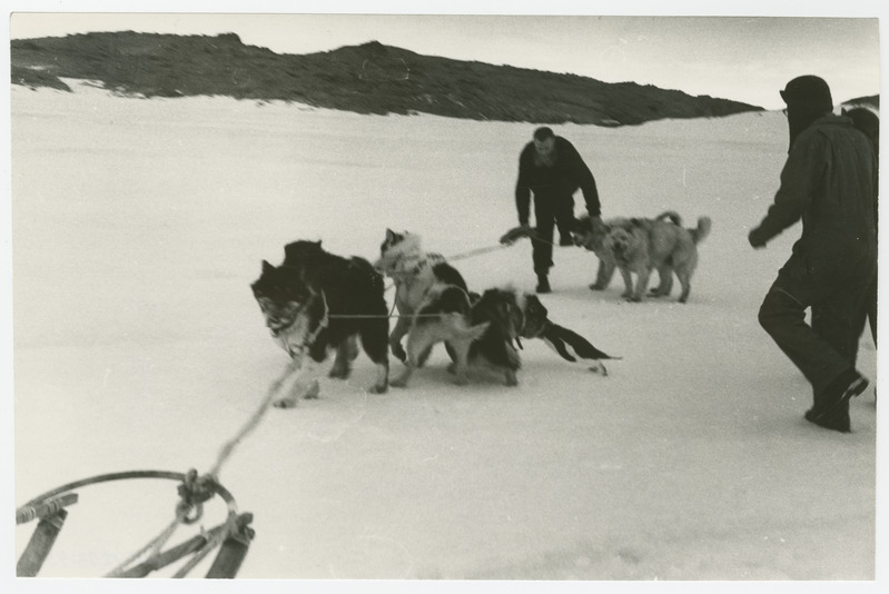 Koerarakendi seadmine Mawsoni uurimisjaamas Antarktises