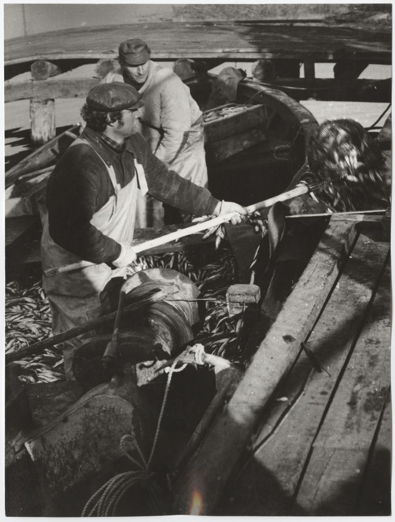 Kalurikolhoosi "Pärnu Kalur" kalurid üleandmas kala Vana-Sauga vastuvõtupunktis