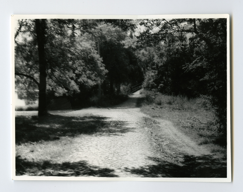 Viljandi maakond, Tarvastu vald, Suislepa vana kivitee sillale üle Õhne jõe.
08.08.1995