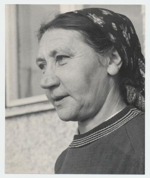 Aliise Kiivits, Kohila sovhoosi seatalitaja