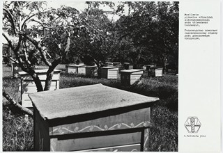 Kohila sovhoosi mesila