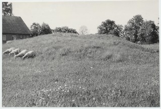 Sarapiku mõisaase tellistes