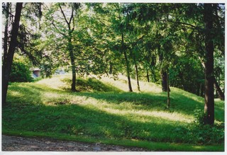 Kuimetsa tornlinnuse ase