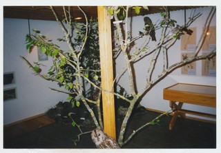 Näitus „Kodumetsade loomi ja linde“ Mahtra Talurahvamuuseumis