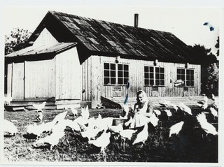 Adele Niinsalu, kanatalitaja 1956.a.