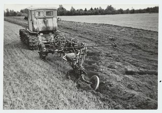 Kesakünd Kehtna sovhoosis