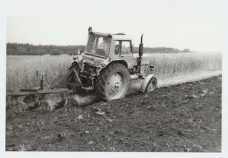 Kuusiku katsebaasi kesakünd