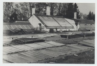 Kuusiku katsebaasi kasvuhooned