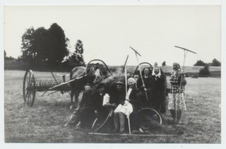 Heinategu „Sangari“ kolhoosis 24.juunil 1950.a.