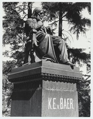 K.E. von Baeri ausammas