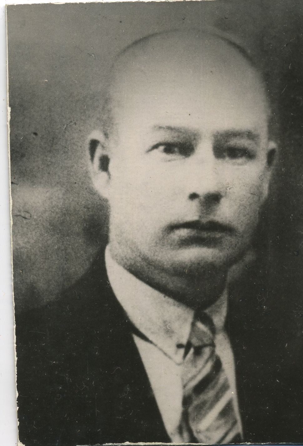 Otto Vaide, portree