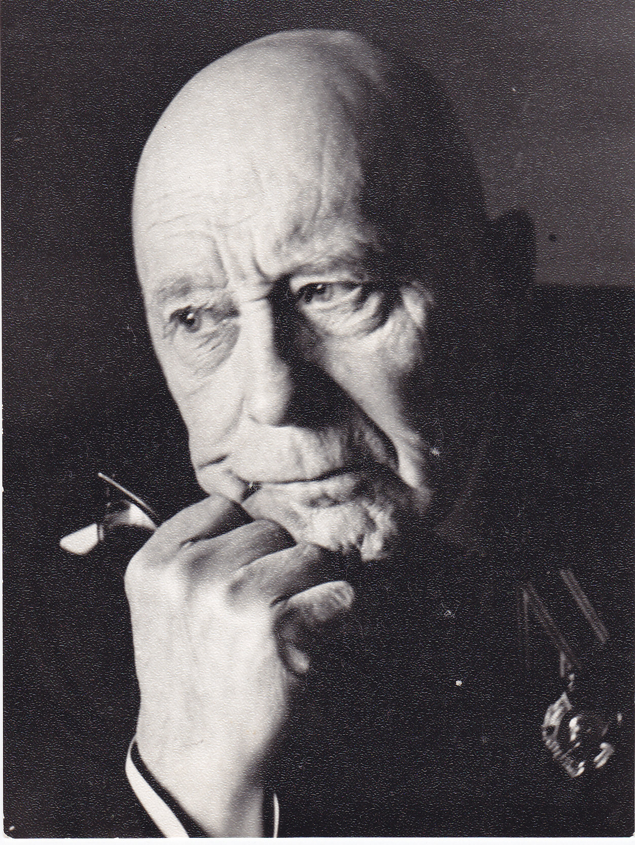 Nikolai Salm, portree