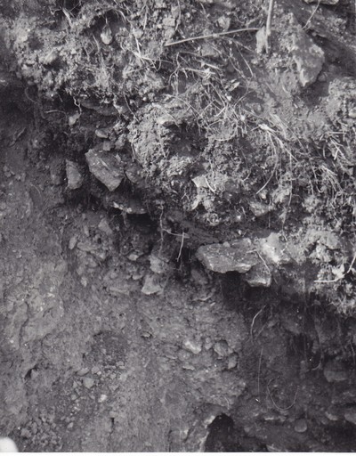 arheoloogilised kaevamised Juhkentalis, Narva 1992