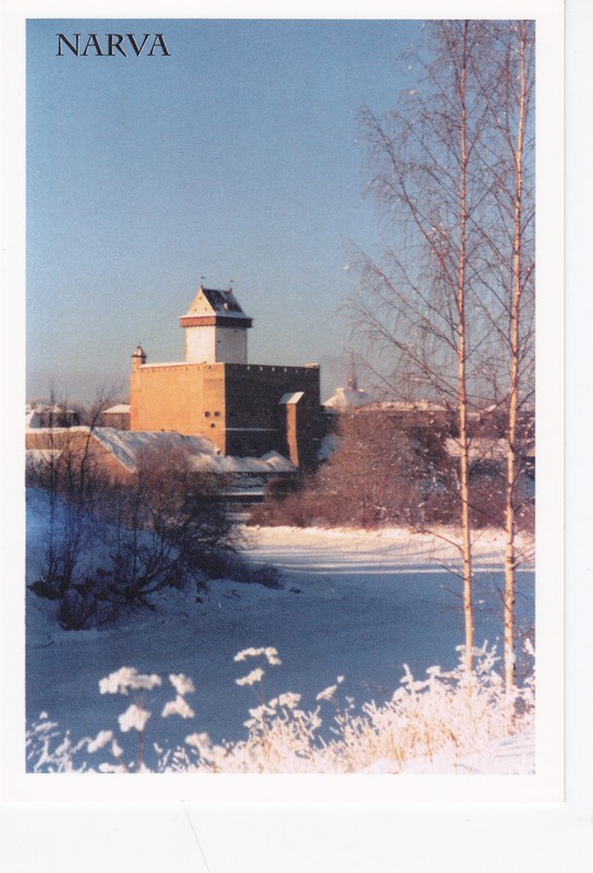 Vaade Narva linnusele lõunast