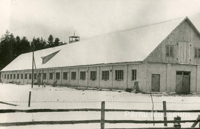 Foto H.Rannau 1956.a, Pärivere sovhoosi uus äsjavalminud (1956) karjalaut.