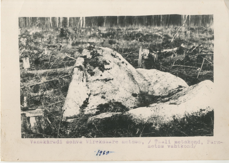 Foto. "Vanakuradi sohva" Vireksaare metsas.
