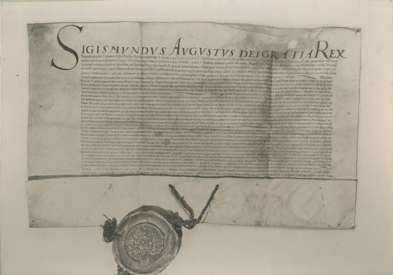 Fotokoopia ürikust. Poola kuninga Sigismund Augusti privileeg Pärnu linnale 1561.a.