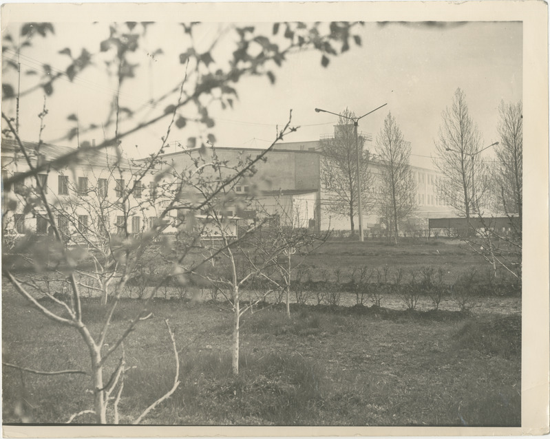 Foto. Pärnu Kalakombinaat.