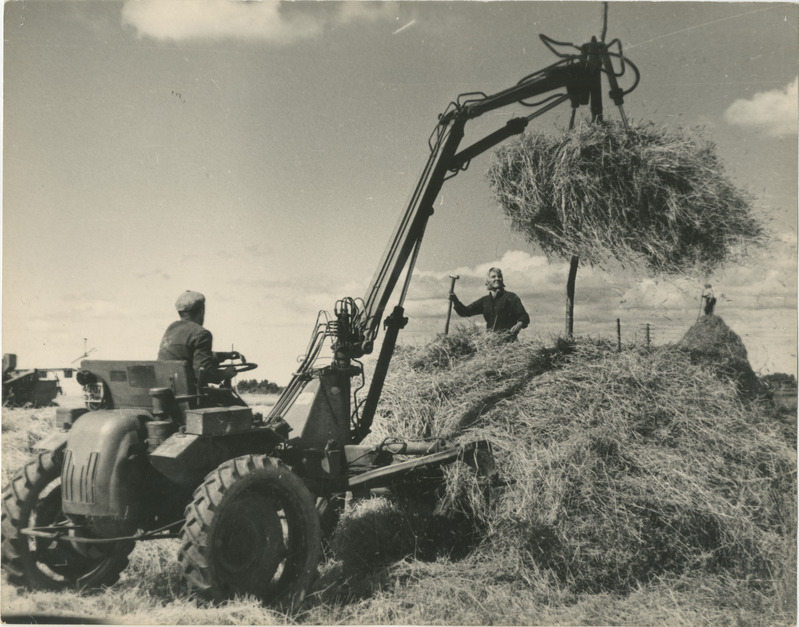 Foto, 1970-ndad. heina tõstmine rõukudesse.