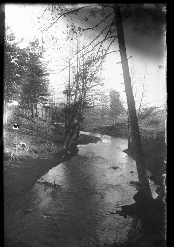 Klaasnegatiiv. Orajõgi. Pärnu maakond