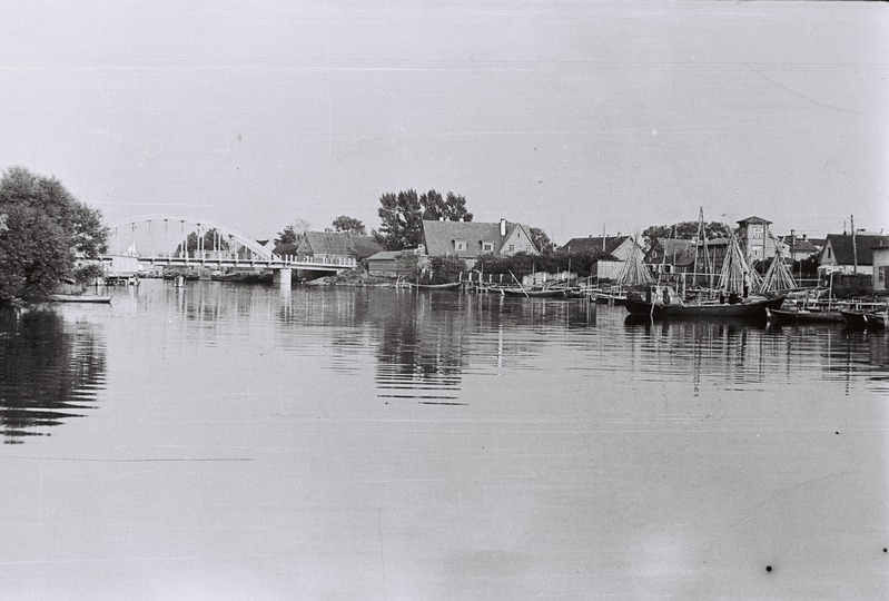 Fotonegatiiv