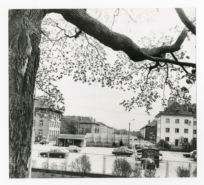 Foto. Parkimisplats Pärnu kesklinnas