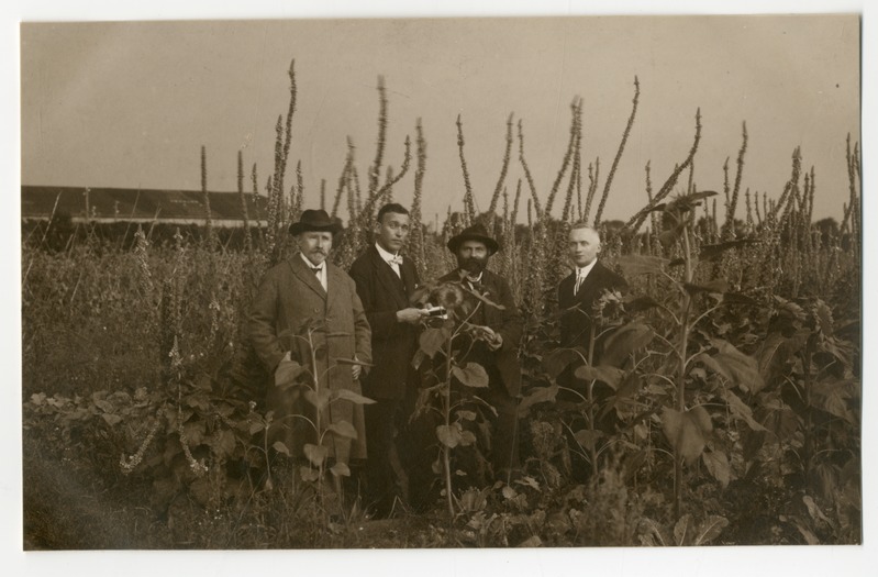 Foto albumis. Apteekrid Tartus