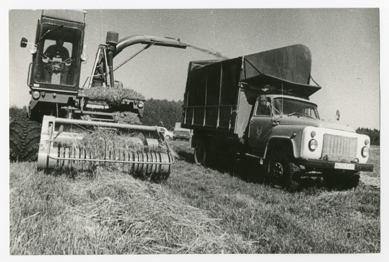 Foto. Viljavarumine Suigu kolhoosis