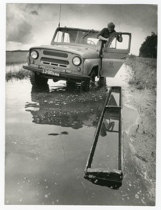 Foto. Maastikuauto karjakoplis