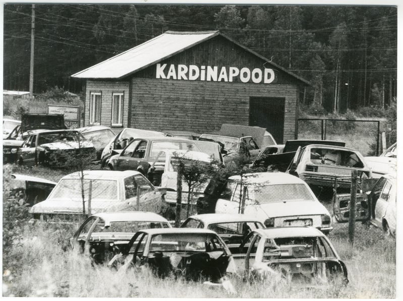 Foto. Kardinapood Lodjal