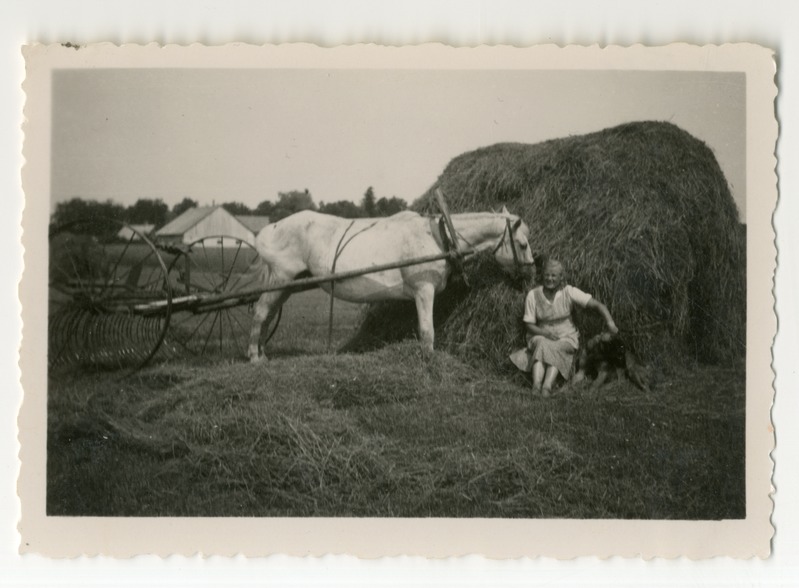 Foto. Pärli mõisa heinamaal