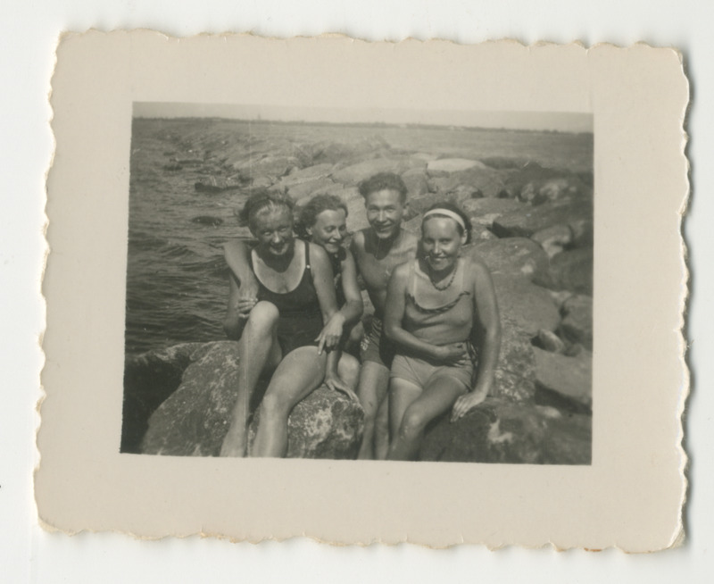 Foto. Seltskond muulil