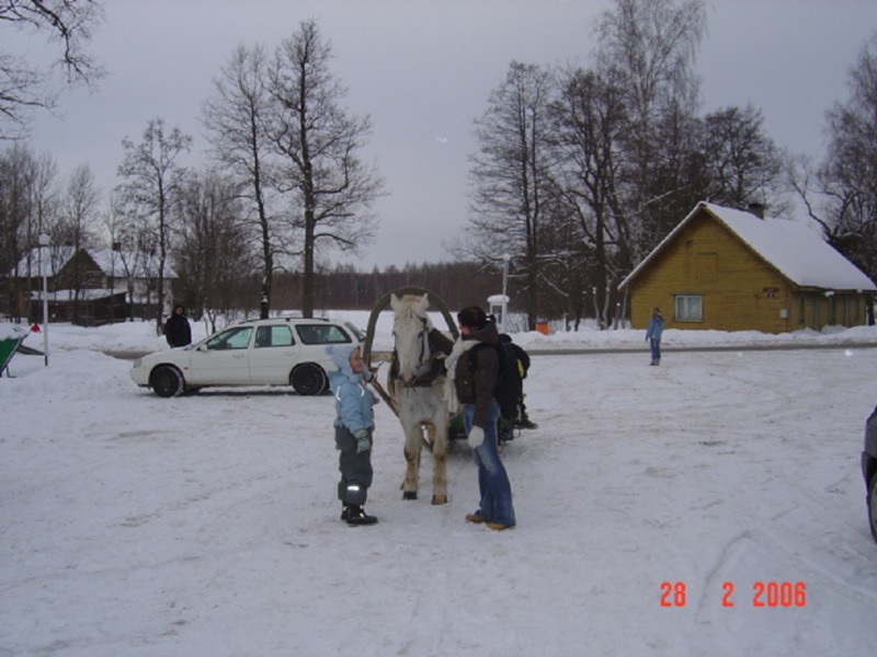 Foto. Vastlapäev, 28.02.2006.a.