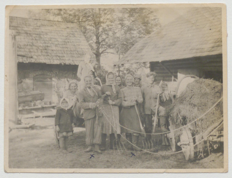 Sõnnikuvedu Anette Kõivu talus