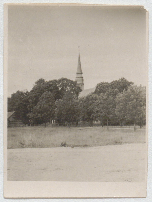 Foto. Vaade Palamuse pargile ja kirikule