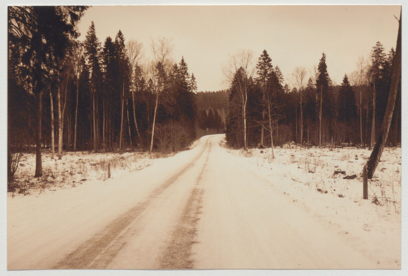 Palamuse - Kaarepere tee