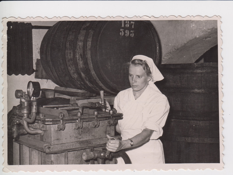 ETKVL Põltsamaa Põllumajanduskombinaadis Helgi Polusk veini filtreerimas