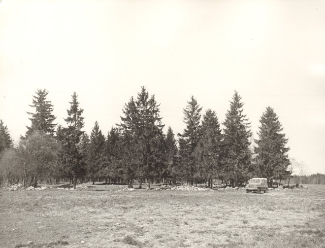 foto, Valgehobusemäel 1991