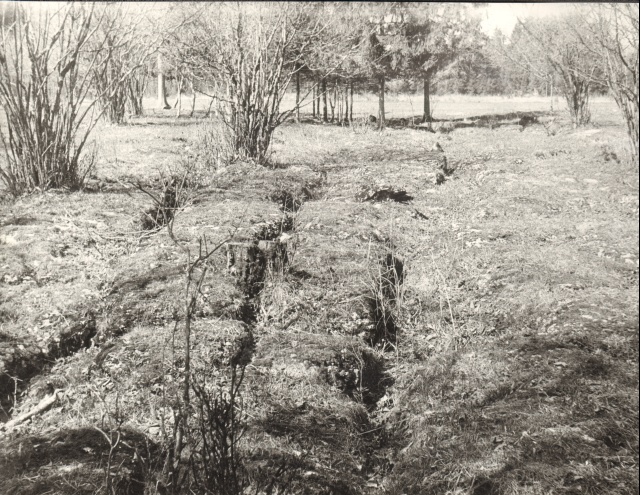 foto, Aravete-Pätsiniidu 1990