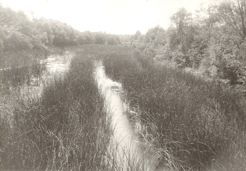 foto, Pärnu jõgi Jändjal 1990
