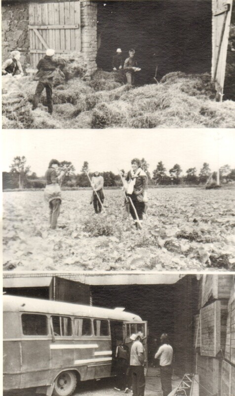 foto, EÕM Vodja, Alliku ja Lehtse rühmad tööl 1987.a.