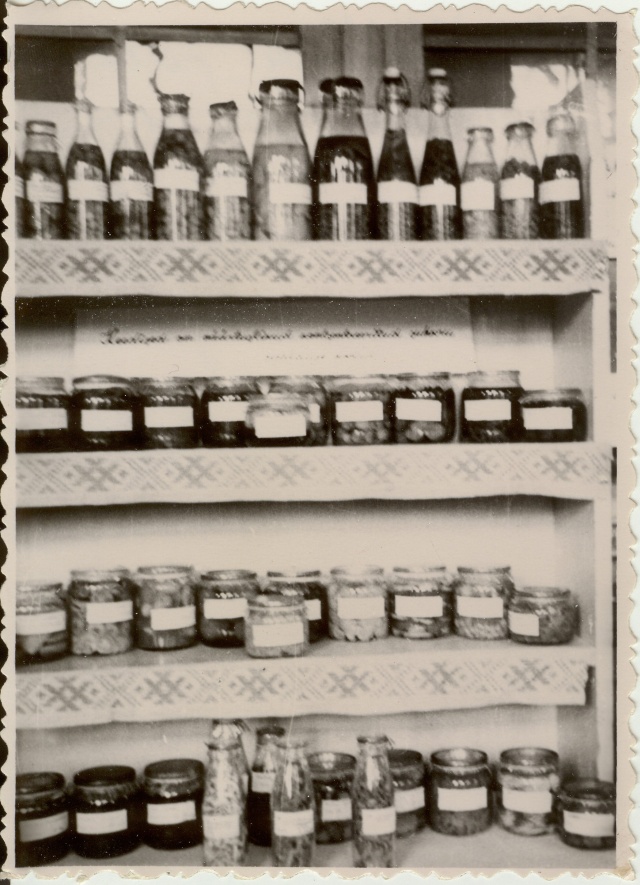 foto Paide Keskkooli naturalistide kasvatatud ja valmistatud eksponaadid näitusel 1950-dad