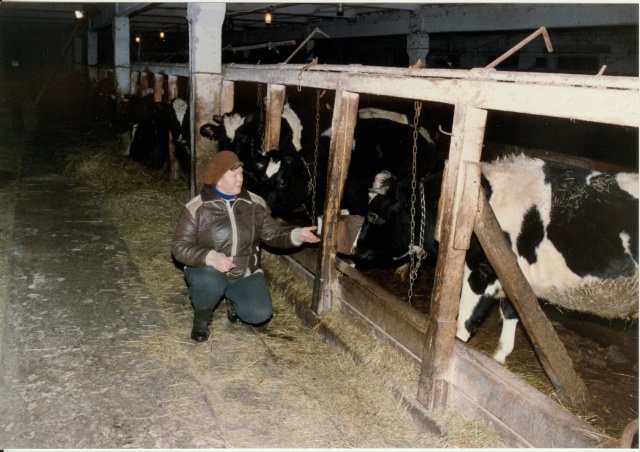 värvifoto taluperenaine Hille Põder laudas Imavere 1995